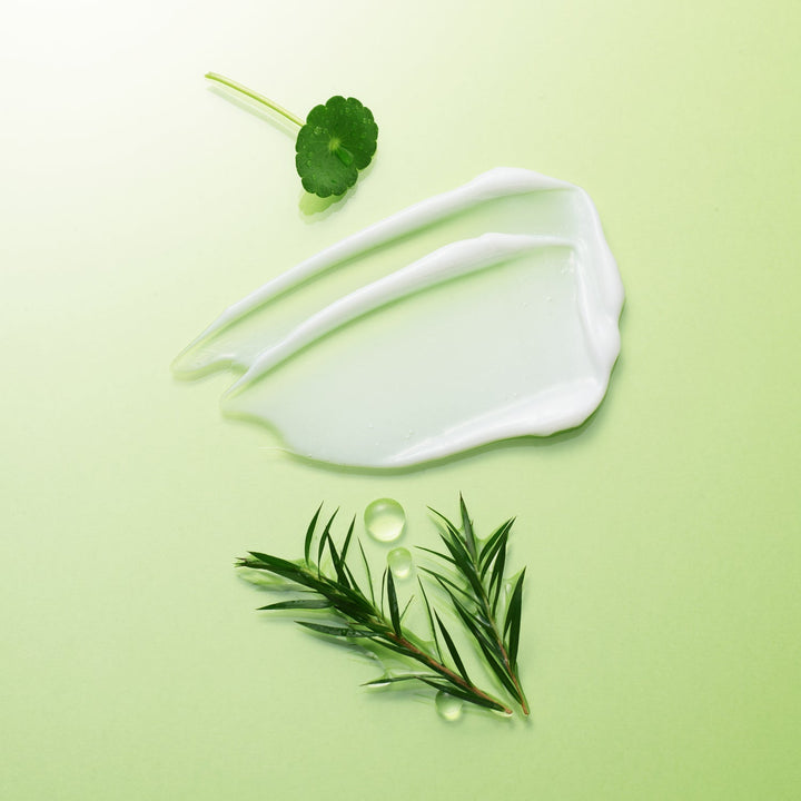 Green Derma Tea Tree Cica Soothing Cream - Nature Republic