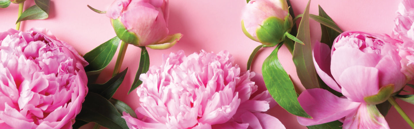 mothers-day_website-banner