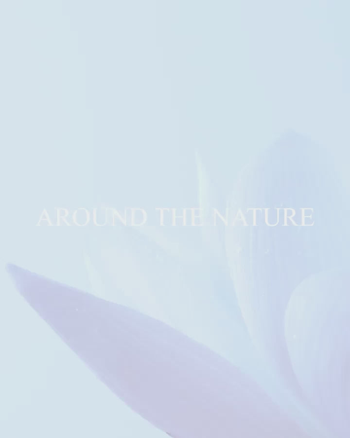 Around The Nature Treatment Essence