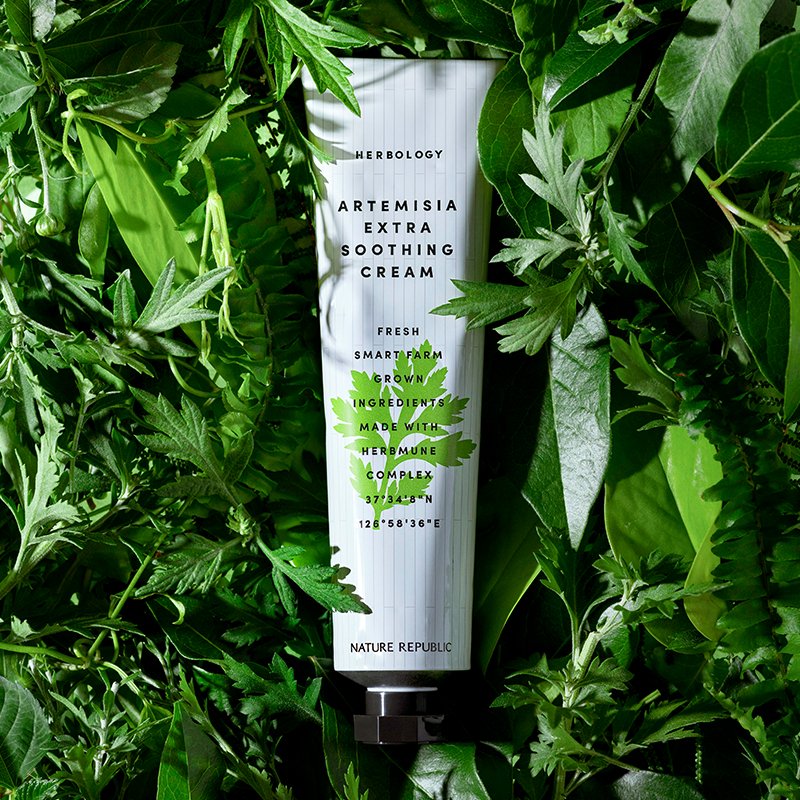 Herbology Artemisia Extra Soothing Cream - Nature Republic